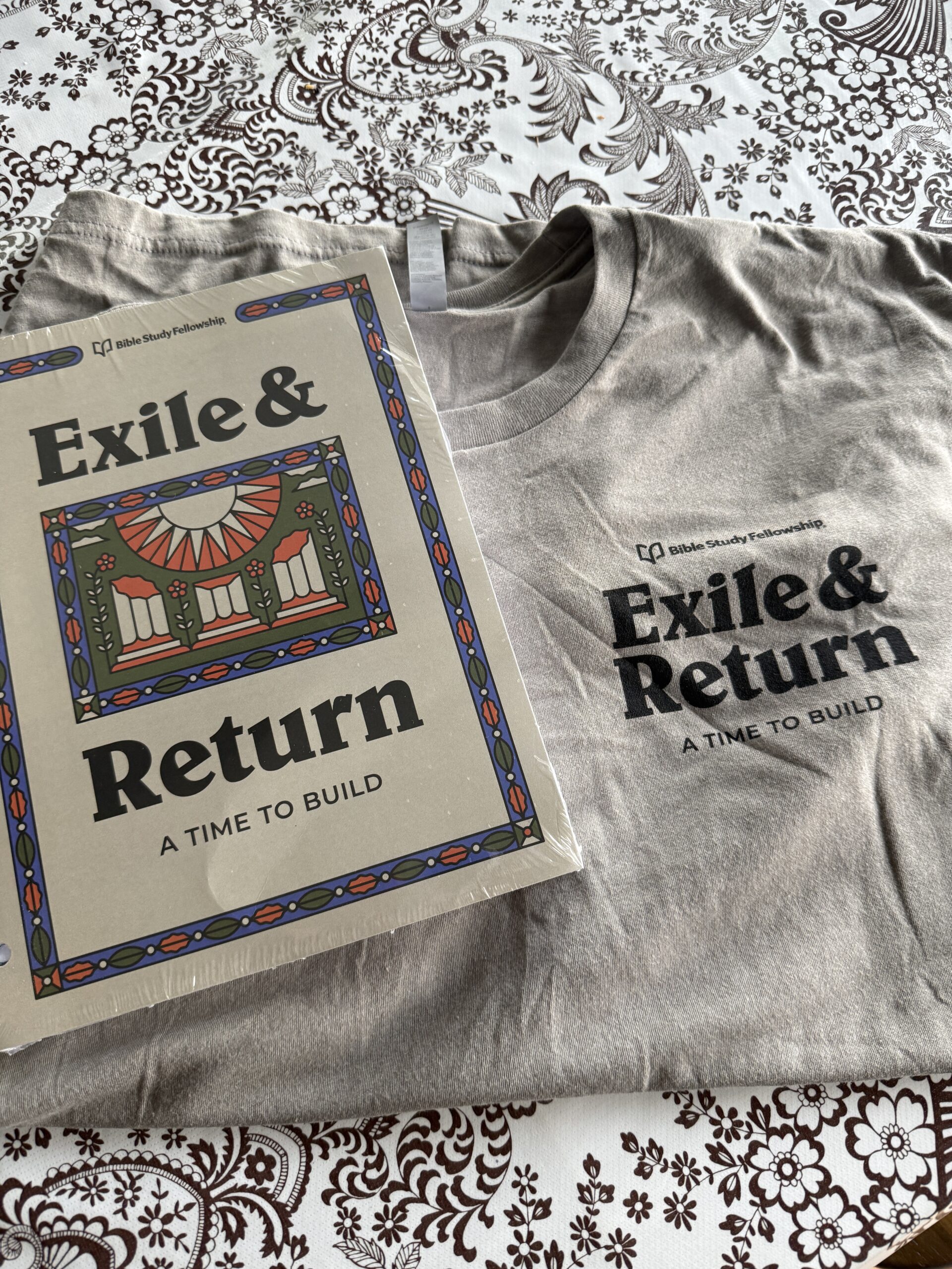 BSF: Exile & Return (2025-2026)