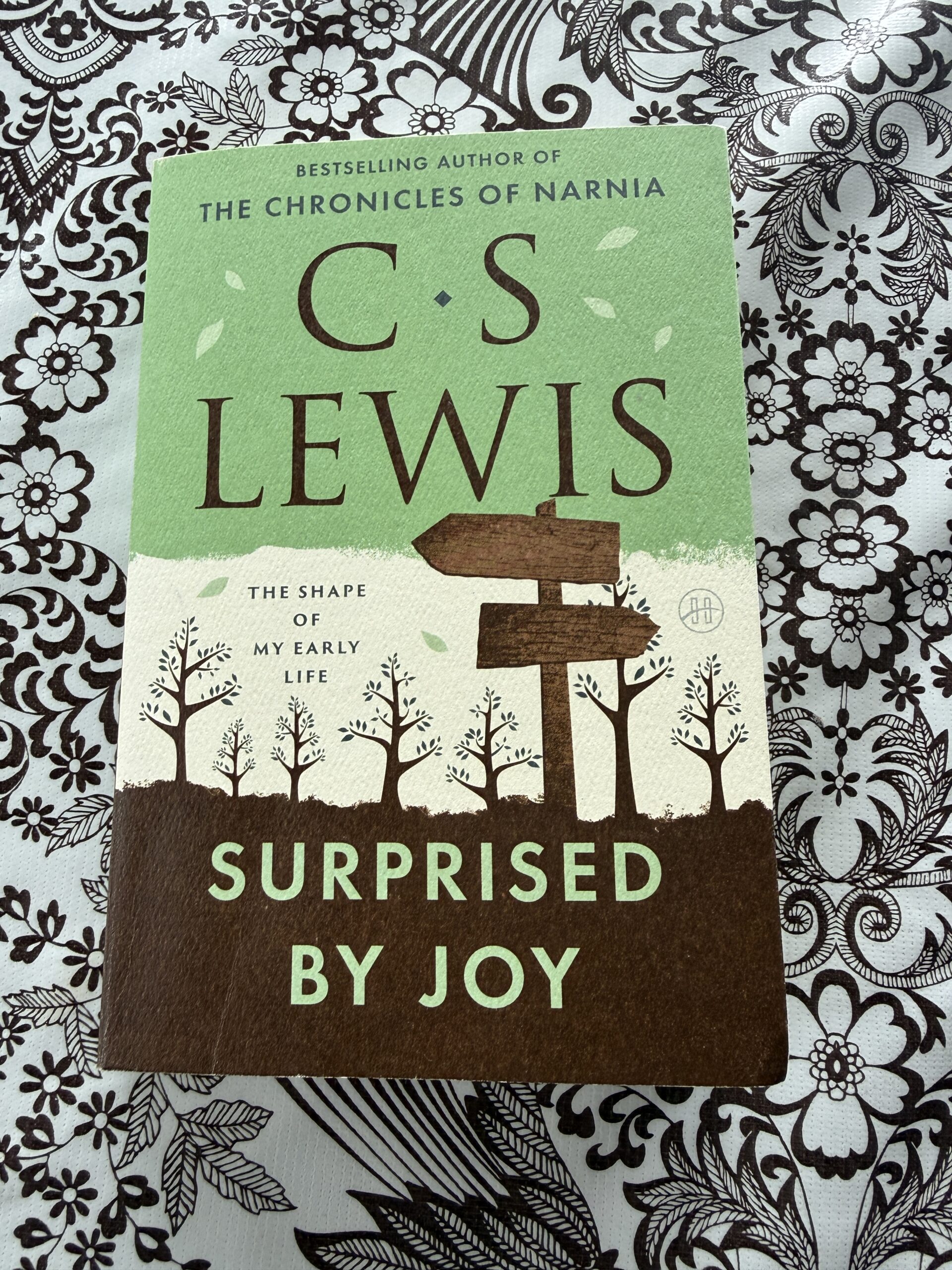 Surprised by Joy