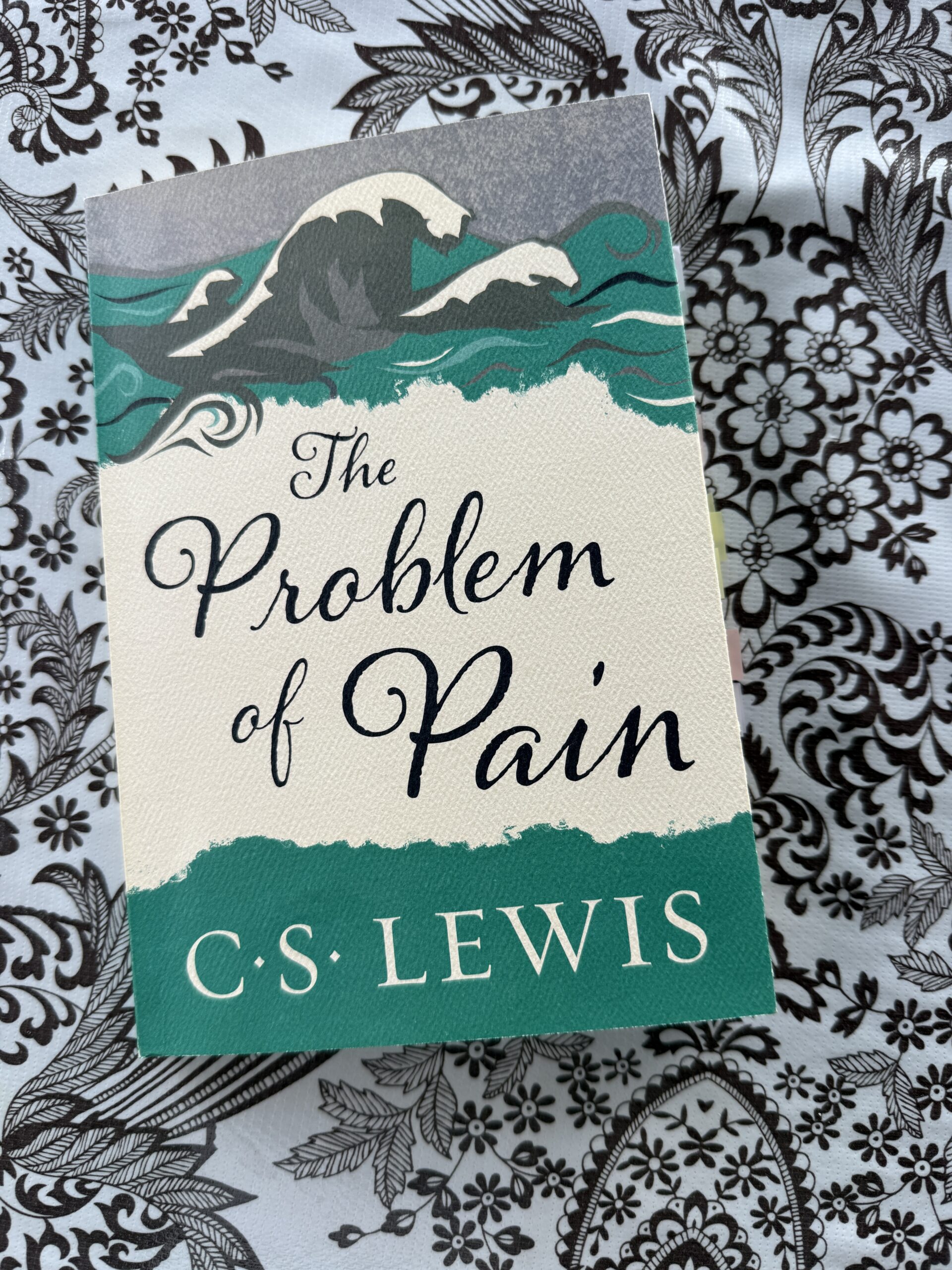 The Problem of Pain